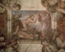 Michelangelo, Erschaffung Evas by klassik art