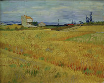 V.v.Gogh, Weizenfeld von klassik art