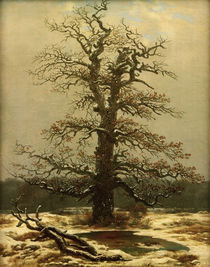C.D.Friedrich, Eiche im Schnee by klassik-art