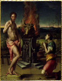 A.Bronzino, Pygmalion u.Galatea by klassik art