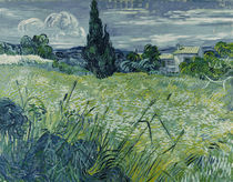 Van Gogh/ Gruenes Weizenfeld mit Zypresse by klassik-art