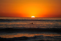 Californian Sunset 1 by dayle ann  clavin