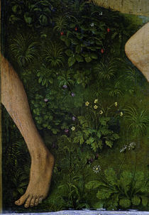 R.v.d. Weyden, Bluehende Pflanzen von klassik art