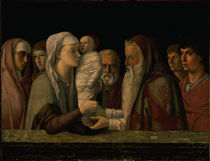 Bellini, Darstellung Jesu im Tempel von klassik art