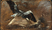 J.Constable, Reiher by klassik art