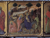 Duccio, Flucht nach Aegypten by klassik art