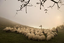 Basque shepherd 001 by Ander Gillenea