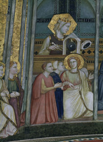 Giotto, Prudentia von klassik art