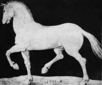 A.Duerer, Pferd von klassik art