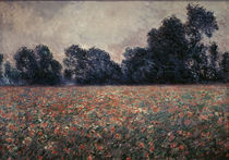 C.Monet, Mohnblumen bei Giverny von klassik-art