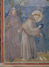 Giotto, Franziskus predigt den Voegeln von klassik art
