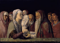 Bellini, Darstellung Jesu im Tempel by klassik art