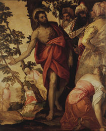 P.Veronese, Predigt Johannes des Taeufers by klassik art