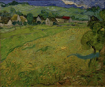 V.v.Gogh, Blick auf Les Vessenots by klassik art