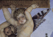 A.Mantegna, Camera degli Sposi, Putto von klassik-art