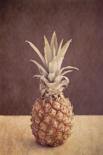 Centered Pineapple by Priska  Wettstein