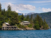 Halibut Cove by Ken Williams