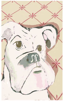 bulldogge by Melanie Labsch