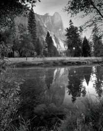 Reflection, Yosemite National Park by Alex Soh