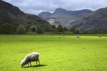  England, Cumbria, Der Lake District National Park von Jason Friend