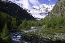  Italy, Valle D'Aosta, Gran Paradiso National Park by Jason Friend