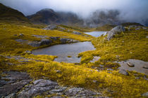 New Zealand, Southland, Fiordland National Park. by Jason Friend
