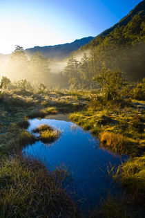 New Zealand, Southland, Fiordland National Park. by Jason Friend