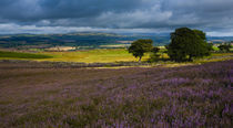 England, Northumberland, Rothbury. von Jason Friend