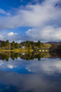 Scotland, Scottish Highlands, Cairngorms National Park. by Jason Friend