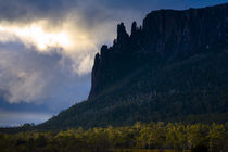 Australia, Tasmania, Cradle Mt - Lake St Clair National Park. by Jason Friend
