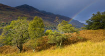 Schottland, Stirling, Loch Lomond und die Trossachs Nationalpark. von Jason Friend