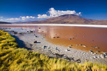 Bolivien, Southern Altiplano, Laguna Colorada. von Jason Friend