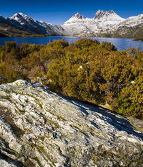 Australien, Tasmanien, Cradle Mt - Lake St. Clair Nationalpark. von Jason Friend