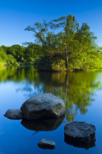 England, Northumberland,  Bolam Lake Country Park. von Jason Friend
