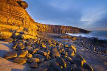 England, Northumberland, Cullernose Point.