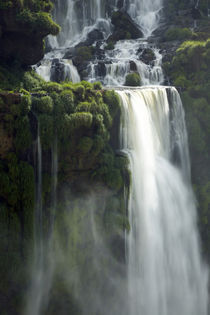 Argentinien, Misiones, Iguazu Nationalpark von Jason Friend