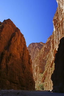  Morocco, Central Morocco, Todra Gorge by Jason Friend