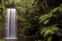  Australia, Queensland,Millaa Millaa Falls by Jason Friend