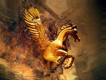 Winged Victory by Eye in Hand Gallery