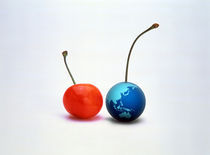 Cherry and tiny earth globe side by side with stems by Panoramic Images