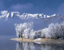 USA, Utah, Deer Creek State Park von Panoramic Images