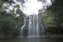Waterfall in a forest, Llanos De Cortez Waterfall, Guanacaste, Costa Rica by Panoramic Images