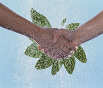 Water cascading over two hand clasped in front of veined green leaves von Panoramic Images