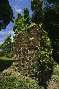 Ruins of colonial mission in a park by Panoramic Images