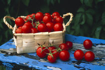 Still life of cherry tomatoes  by Panoramic Images