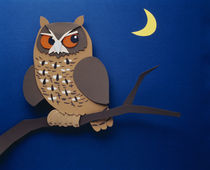 Illustration owl by Panoramic Images