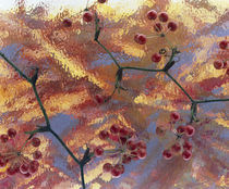 Oriental cherries on blurred background von Panoramic Images