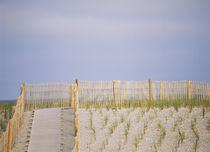 Boardwalk on the beach, Atlantic City, New Jersey, USA by Panoramic Images