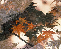 Collage of green and pale orange leaves, white paper flower and abstract rocks von Panoramic Images