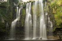Waterfall in a forest, Llanos De Cortez Waterfall, Guanacaste, Costa Rica by Panoramic Images